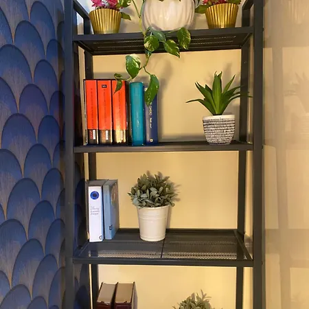 בית אירוח Cinecitta רומא